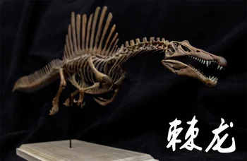 1/20 Spinosaurus Skeleto Modelis Dinozaurų Gyvūnų Skaičius Kolektorius Spinosauridae Švietimo GK Apdailos Vaikams Dovanų Žaislų Dažytos
